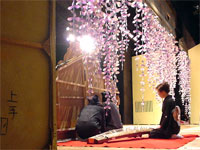 ���̗��ɉB��Ă܁[���B���q����A����J�l�B