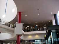 ���������B���̕��Ɍ�����Ƃ���Ɂu�C�J���z�[���v������B